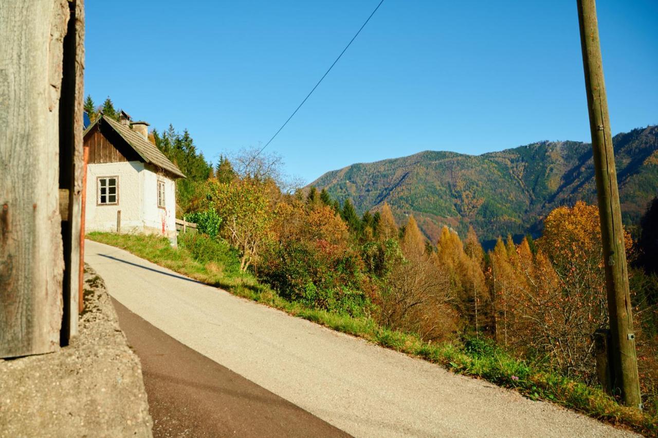 Romantische Ferienhuette Nationalpark Kalkalpen, Sonnig, 2 Schlafzimmer, Wlan Kleinreifling Екстериор снимка