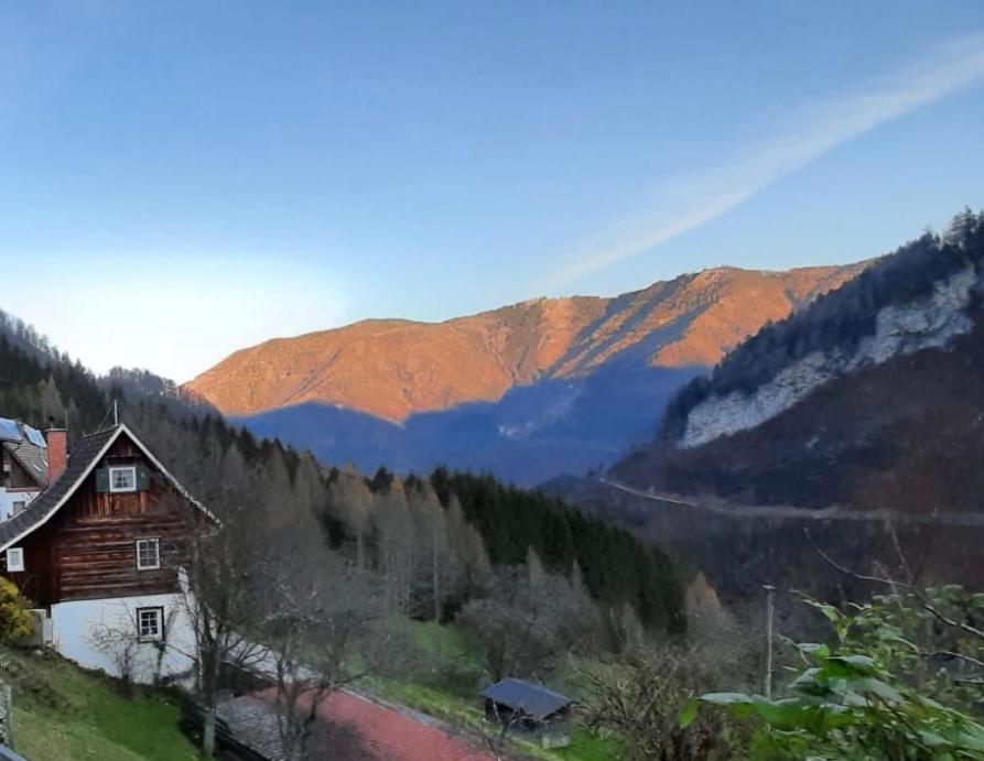 Romantische Ferienhuette Nationalpark Kalkalpen, Sonnig, 2 Schlafzimmer, Wlan Kleinreifling Екстериор снимка