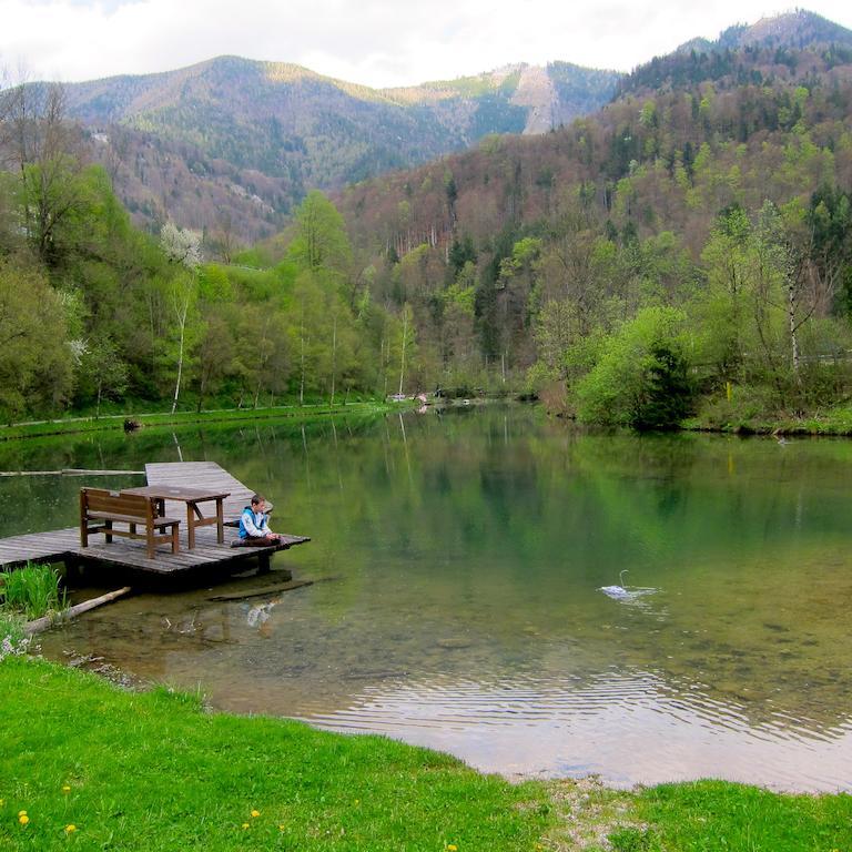 Romantische Ferienhuette Nationalpark Kalkalpen, Sonnig, 2 Schlafzimmer, Wlan Kleinreifling Екстериор снимка
