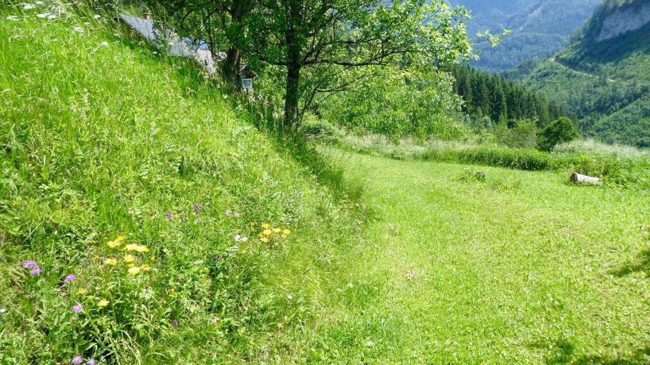 Romantische Ferienhuette Nationalpark Kalkalpen, Sonnig, 2 Schlafzimmer, Wlan Kleinreifling Екстериор снимка