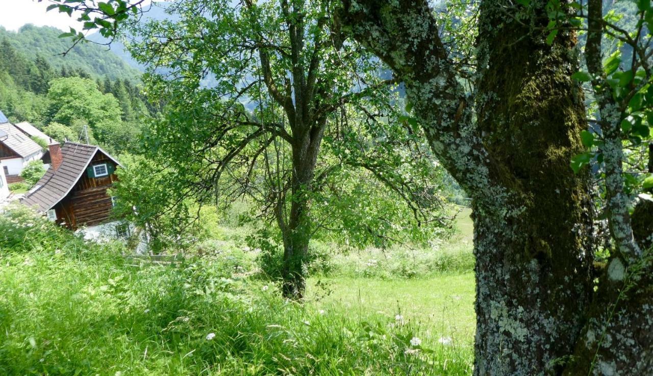 Romantische Ferienhuette Nationalpark Kalkalpen, Sonnig, 2 Schlafzimmer, Wlan Kleinreifling Екстериор снимка